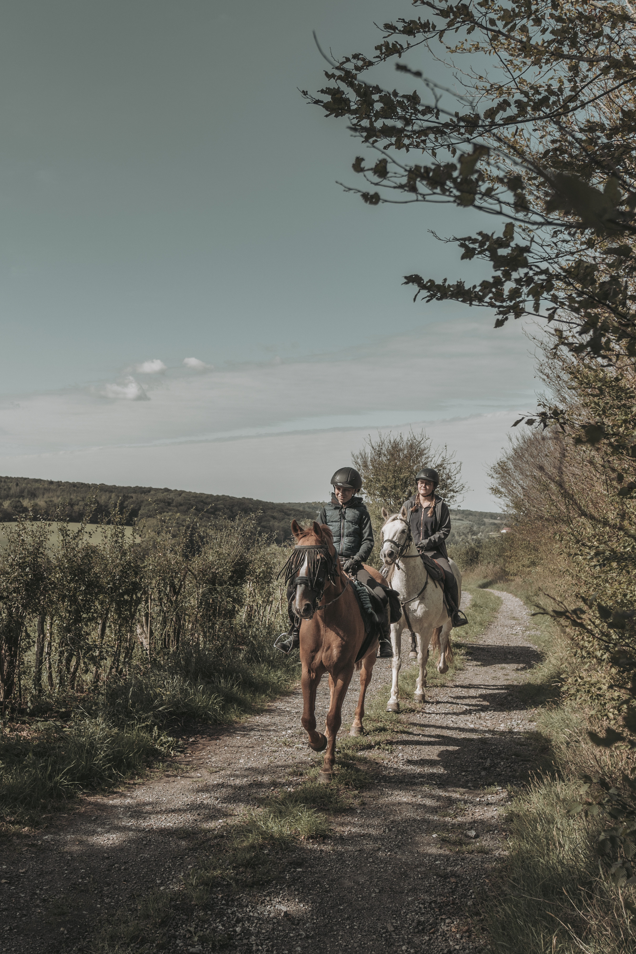 2 A la lisière de la Forêt de Senzeille