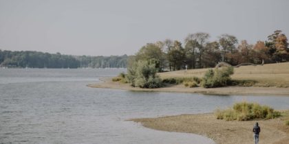 Fauna und flora im wald und im wasser
