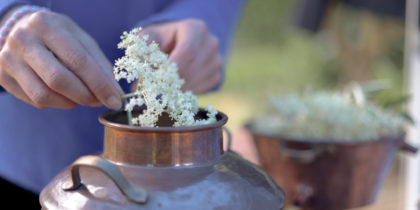 Créez vos eaux florales avec Isabelle