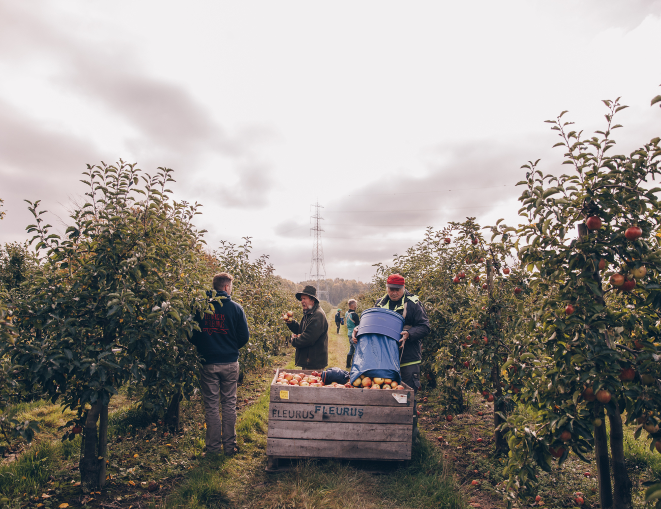 Les jus de pommes des Vergers de Fleurus sont locaux, artisanaux...et surtout délicieux